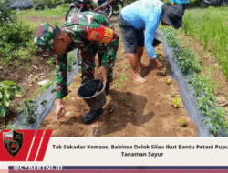 Tak Sekadar Komsos, Babinsa Dolok Silau Ikut Bantu Petani Pupuk Tanaman Sayur