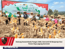 Dukung Swasembada Pangan 2026, Danramil 03 Banjarejo Ikut Panen Raya Jagung Serentak