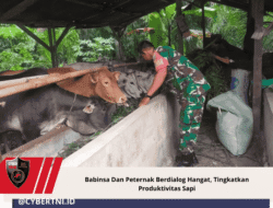 Babinsa Dan Peternak Berdialog Hangat, Tingkatkan Produktivitas Sapi
