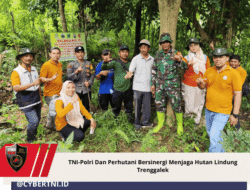 TNI-Polri Dan Perhutani Bersinergi Menjaga Hutan Lindung Trenggalek