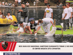 Bos Ikan Koi Nasional Hartono Sukwanto Tebar 2.165 Ekor di Obyek Wisata Situ Cipanten