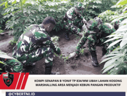 Kompi Senapan B Yonif TP 834/WM Ubah Lahan Kosong Marshalling Area Menjadi Kebun Pangan Produktif