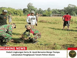 Peduli Lingkungan Sertu M. Ayub Bersama Warga Tlumpu Laksanakan Penghijauan Tanam Pohon Akasia
