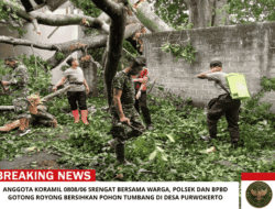 Anggota Koramil 0808/06 Srengat Bersama Warga, Polsek Dan BPBD Gotong Royong Bersihkan Pohon Tumbang Di Desa Purwokerto