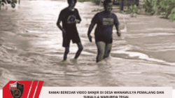 Ramai Beredar Video Banjir Di Desa Wanamulya Pemalang Dan Sukalila Warureja Tegal