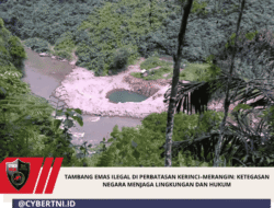 Tambang Emas Ilegal Di Perbatasan Kerinci–Merangin: Ketegasan Negara Menjaga Lingkungan Dan Hukum