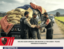 Maling Gasak Armada L300 Muatan 3,5 Ton Gabah : Pelaku Diringkus Di Magetan