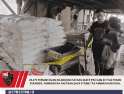 28.270 Pemantauan Dilakukan Satgas Saber Pangan di Tiga Pekan Terakhir, Pemerintah Pastikan Jaga Stabilitas Pangan Nasional