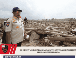 SK Menhut Landasi Pemanfaatan Kayu Hanyutan Jadi Terobosan Pemulihan Pascabencana