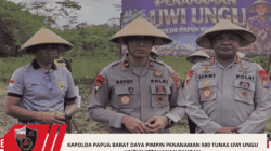Kapolda Papua Barat Daya Pimpin Penanaman 500 Tunas Uwi Ungu Untuk Ketahanan Pangan