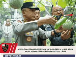 Wujudkan Kemandirian Pangan, Kapolda Jabar Apresiasi Green House Binaan Bhabinkamtibmas Di Kurdi Timur