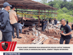 Polda Sumut Amankan Dua Ekskavator Diduga Untuk Tambang Emas Ilegal di Mandailing Natal, Sempat Terjadi Intervensi