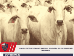 Dukung Produksi Daging Nasional Indonesia Impor 100.000 Sapi Dari Brasil