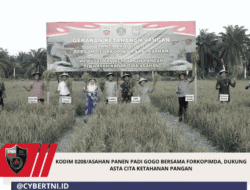 Kodim 0208/Asahan Panen Padi Gogo Bersama Forkopimda, Dukung Asta Cita Ketahanan Pangan