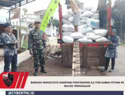 Babinsa Wonocoyo Dampingi Penyerapan 5,6 Ton Gabah Petani ke Bulog Trenggalek