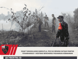 Sigap Tanggulangi Karhutla, Pos Sui Bening Satgas Pamtas Yonarhanud 1 Kostrad Bersinergi Padamkan Kebakaran