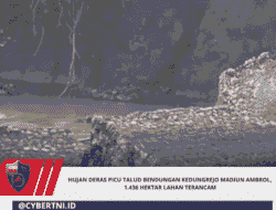 Hujan Deras Picu Talud Bendungan Kedungrejo Madiun Ambrol, 1.436 Hektar Lahan Terancam