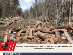 Deforestasi Indonesia 2025 Capai 433 Ribu Hektare, Kalimantan dan Papua Paling Terdampak