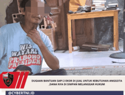 Dugaan Bantuan Sapi 2 Ekor Di Jual Untuk Kebutuhan Anggota ,Dananya Di Simpan Melanggar Hukum