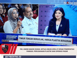 PKL UMKM Makin Susah, Ketua Umum APKLI-P Desak Pemerintah Panggil Perusahaan Plastik dan Operasi Pasar