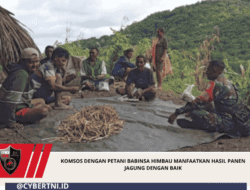 Komsos Dengan Petani Babinsa Himbau Manfaatkan Hasil Panen Jagung Dengan Baik
