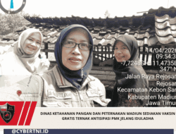 Dinas Ketahanan Pangan dan Peternakan Madiun Sediakan Vaksin Gratis Ternak Antisipasi PMK Jelang Iduladha