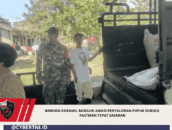 Babinsa Koramil Bangun Awasi Penyaluran Pupuk Subsidi, Pastikan Tepat Sasaran