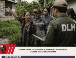 Limbah Usaha Ayam Potong di Ngariboyo Belum Sesuai Standar, Warga Keluhkan Bau