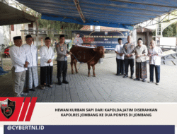 Hewan Kurban Sapi dari Kapolda Jatim Diserahkan Kapolres Jombang ke Dua Ponpes di Jombang