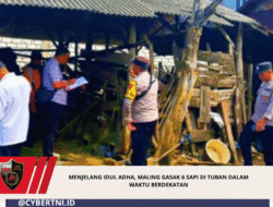 Menjelang Idul Adha, Maling Gasak 6 Sapi di Tuban Dalam Waktu Berdekatan