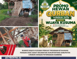 Bumdes Wijaya Kusuma Perkuat Program Ketahanan Pangan Desa Cisaat Kecamatan Dukupuntang Kabupaten Cirebon Dengan Peternakan Kambing