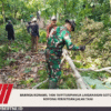 Babinsa Koramil 1406-10/Pitumpanua Laksanakan Gotong Royong Perintisan Jalan Tani