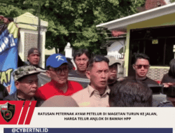 Ratusan Peternak Ayam Petelur di Magetan Turun ke Jalan, Harga Telur Anjlok di Bawah HPP