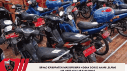 BPKAD Kabupaten Madiun Biar Nggak Boros Akan Lelang 105 Unit Kendaraan Dinas