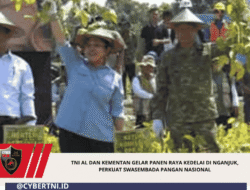 TNI AL dan Kementan Gelar Panen Raya Kedelai di Nganjuk, Perkuat Swasembada Pangan Nasional