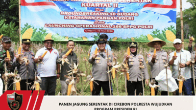 Panen Jagung Serentak di Cirebon Polresta Wujudkan Program Presiden RI