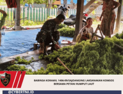 Babinsa Koramil 1406-09/Sajoanging Laksanakan Komsos Bersama Petani Rumput Laut