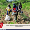 Babinsa Arso Aktif Dampingi Petani, Produktivitas Jagung Terus Didorong