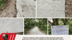 Poktan Cibedug Desa Girinata Realisasikan Bantuan Pertanian JUT Melalui Program Upland Project Untuk Perekonomian Masyarakat 