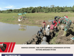 Babinsa Koramil 1406-10/Pitumpanua Laksanakan Gotong Royong Bersama Petani