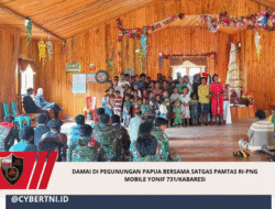 DAMAI DI PEGUNUNGAN PAPUA BERSAMA SATGAS PAMTAS RI-PNG MOBILE YONIF 731/KABARESI