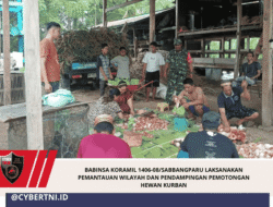 Babinsa Koramil 1406-08/Sabbangparu Laksanakan Pemantauan Wilayah dan Pendampingan Pemotongan Hewan Kurban