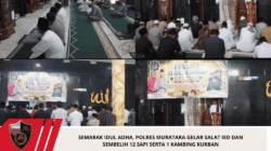 Semarak Idul Adha, Polres Muratara Gelar Salat Ied dan Sembelih 12 Sapi serta 1 Kambing Kurban