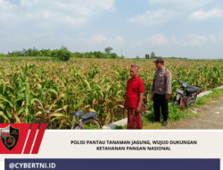 Polisi Pantau Tanaman Jagung, Wujud Dukungan Ketahanan Pangan Nasional