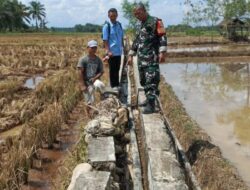 Cek Saluran Irigasi Yang Rusak Akibat Roboh, Kodim 0428/Mukomuko Dampingi Petani/Warga di Desa Tirta Makmur