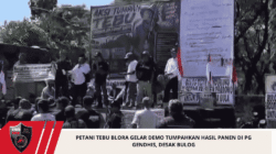 Petani Tebu Blora Gelar Demo Tumpahkan Hasil Panen di PG Gendhis, Desak Bulog
