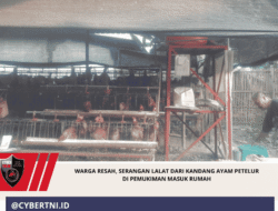 Warga Resah, Serangan Lalat dari Kandang Ayam Petelur di Pemukiman Masuk Rumah