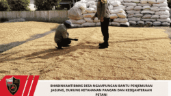 Bhabinkamtibmas Desa Ngampungan Bantu Penjemuran Jagung, Dukung Ketahanan Pangan dan Kesejahteraan Petani