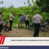 POLRES KUNINGAN UNTUK SWASEMBADA PANGAN NASIONAL