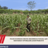 Polres Kuningan Dukung Swasembada Pangan, Ajak Masyarakat Optimalkan Lahan Produktif
